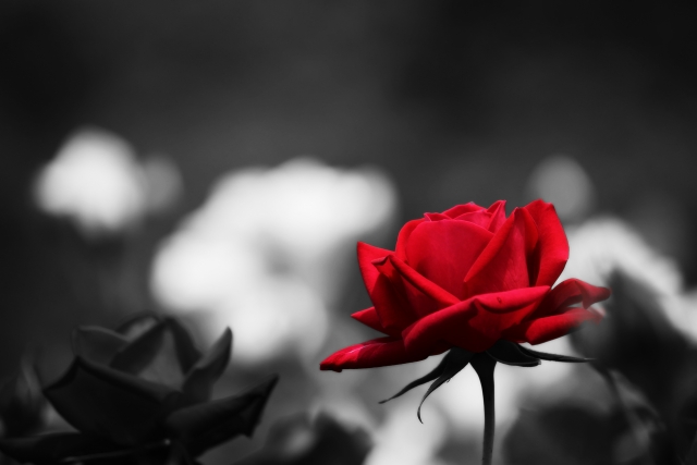 仕事をすること、働きにでることが怖い。このまま一生ニートかも……