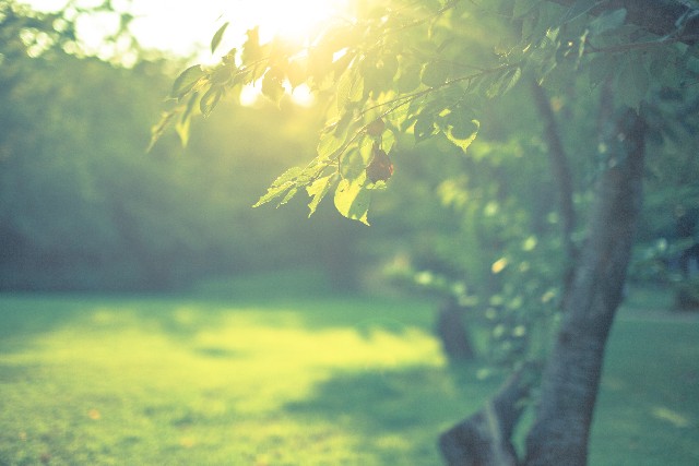 人間には「今世で達成したい目的」がある!