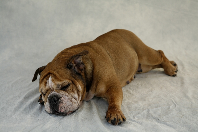 【仕事したくない】働きたくない大卒ニートの本当の理由と解決方法